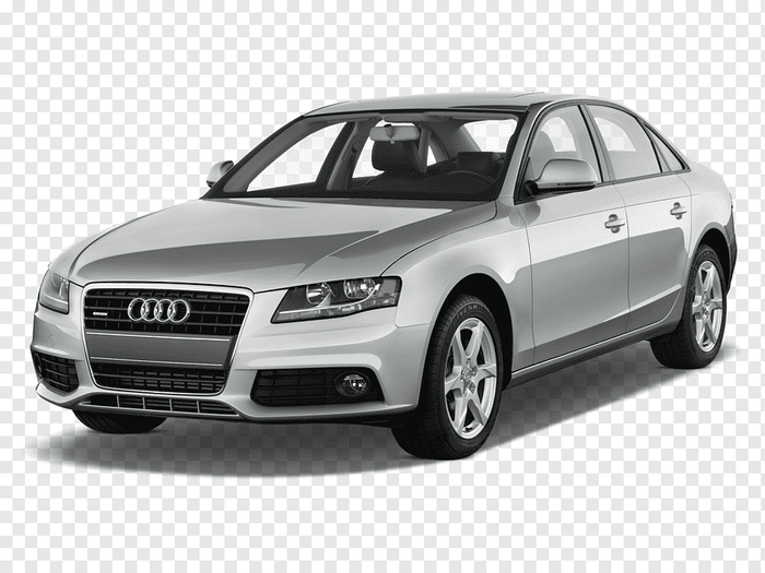 Audi A4 Diesel Fuel Injectors